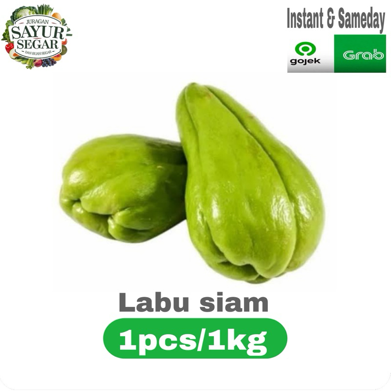 

Sayuran LABU SIAM besar 1pcs/1kg murah