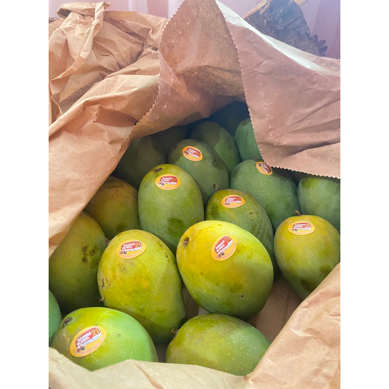 

MANGGA HARUM MANIS KHUSUS GOSEND MEDAN