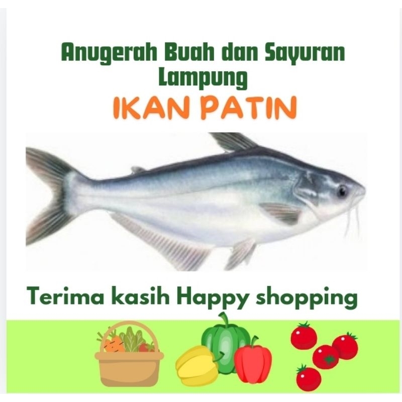 

Ikan Patin Ikan Segar Anugerah buah dan Sayur Lampung