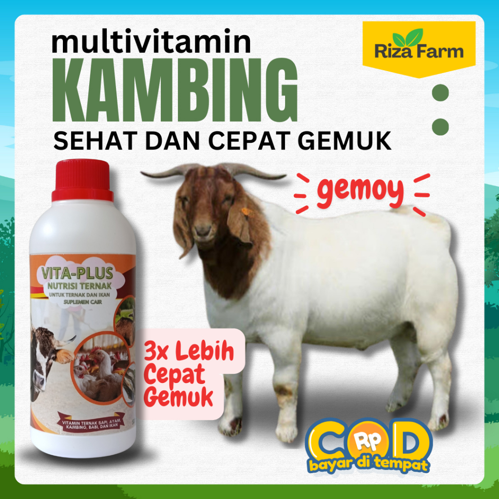 Vitamin Kambing dan Domba Cepat gemuk | Obat penggemuk kambing | obat nafsu makan kambing