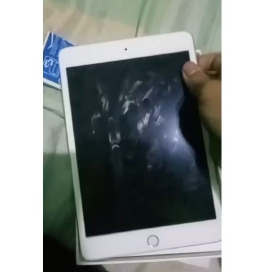 ipad mini 4 minus