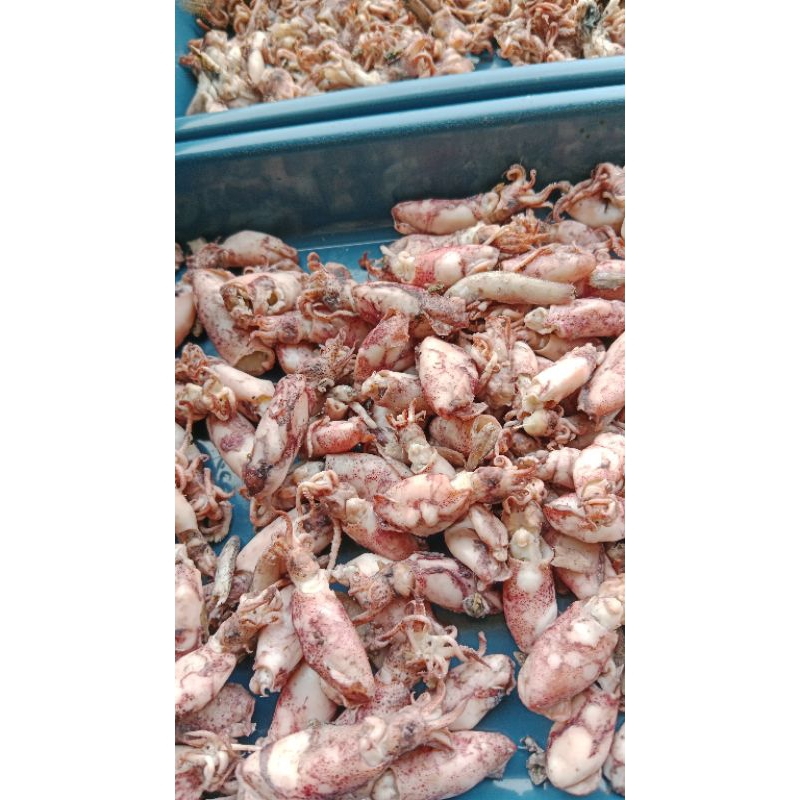 

cumi asin 250g