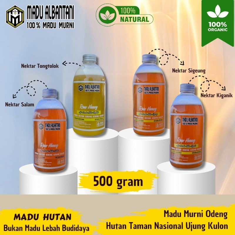 

Madu Odeng Ujung Kulon 100% MADU MURNI 500 Gram
