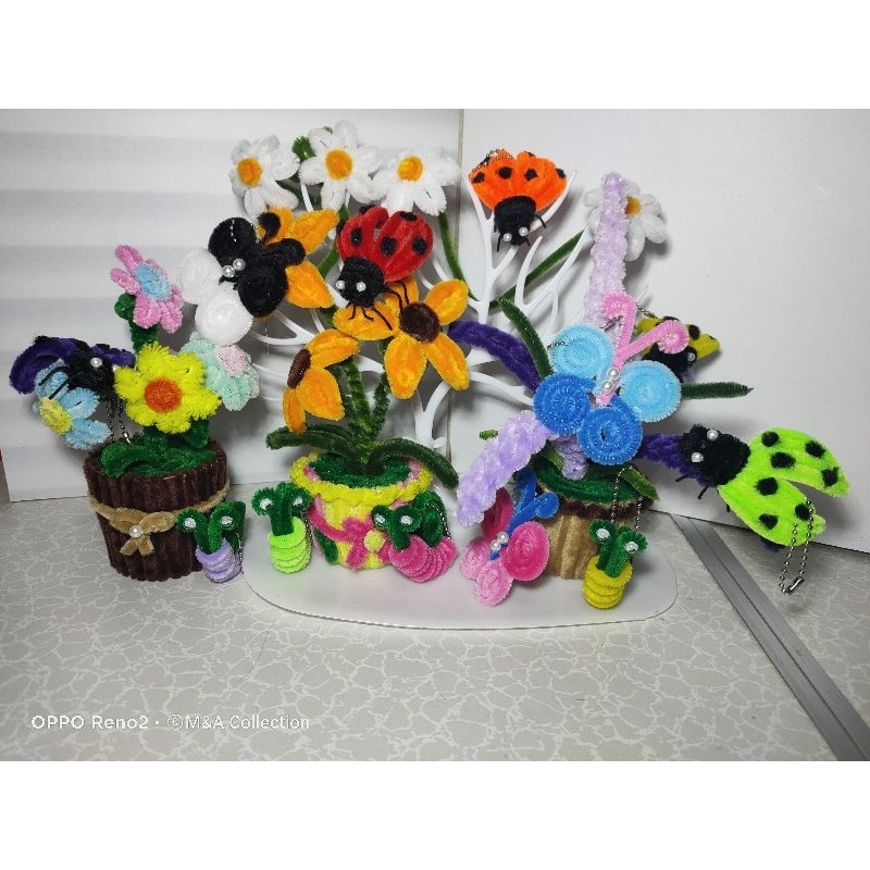 Ganci siput / kumbang