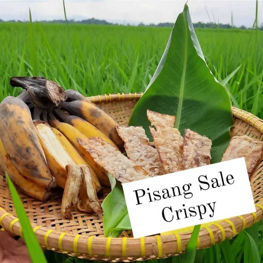 

PISANG SALE LIDAH MANIS RENYAH 250 GRAM | SUBUR JAYA SNACK