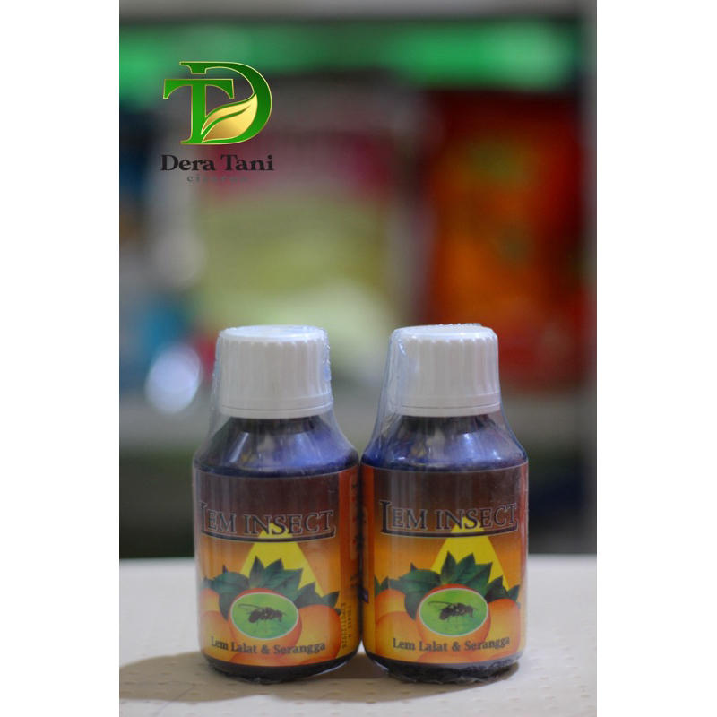 Lem Insect Perangkap Lalat buah dan Serangga