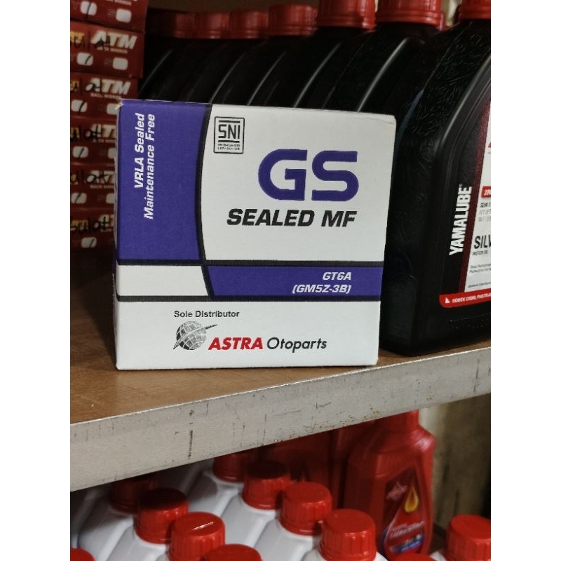 aki gs astra GM5Z-3B kering