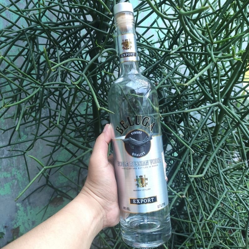 Botol bekas minuman Vodka BELUGA