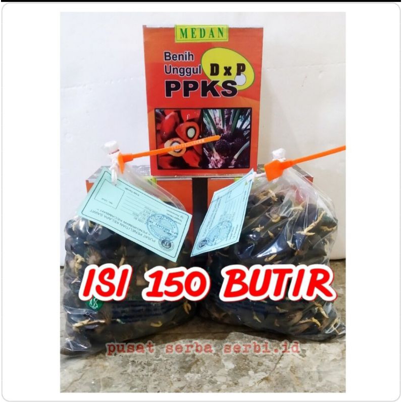 BIBIT SAWIT PPKS 540 ISI 150 BUTIR KUALITAS UNGGUL