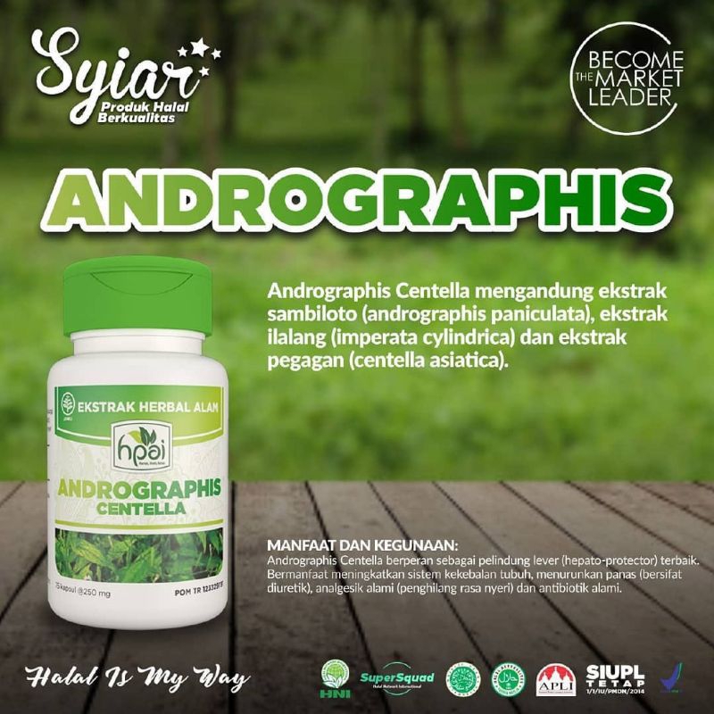 

ANDRORAPHIS CENTELLA ANTIBIOTIK ALAMI