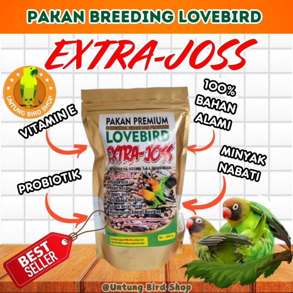TERBUKTI Pakan Lovebird Agar Cepat Bertelur. Pakan Extra Joss Lovebird. Pakan Ternak Breeding