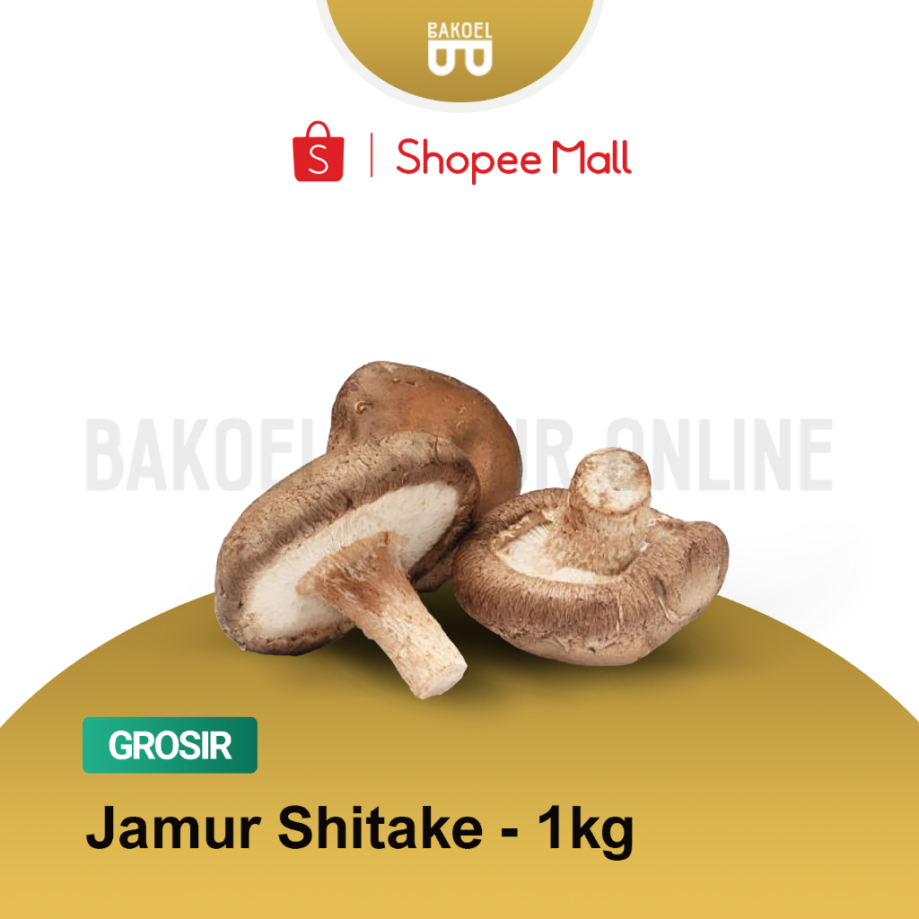 

Jamur Shitake - Grosir 1 Kg