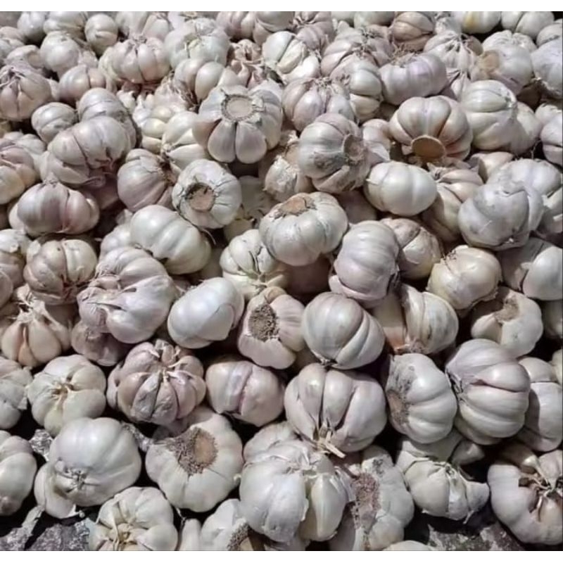 

Bawang Putih Pilihan 500gr