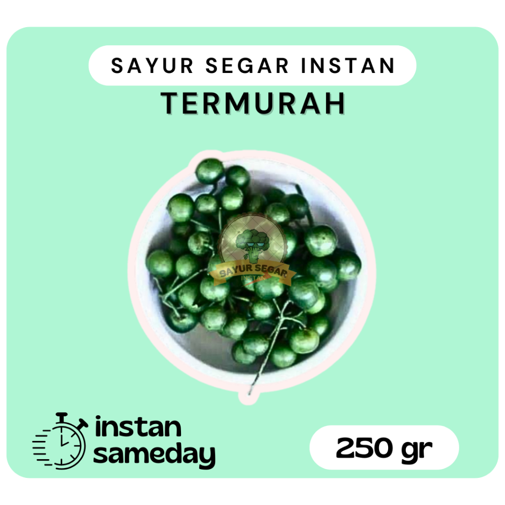 

Lenca 250gr / Leunca / Sayur Lalap - Sayursegarinstan