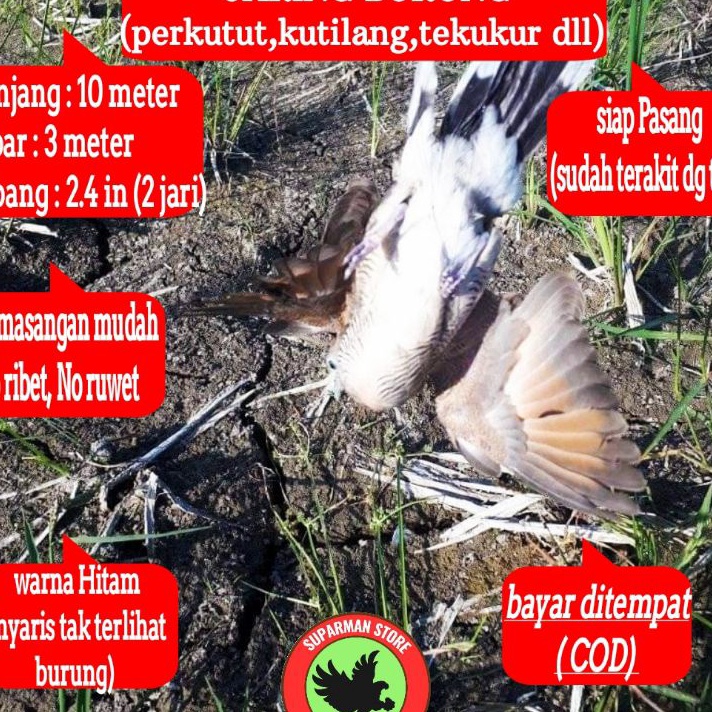BRAND JARING BURUNG PERKUTUT 1 JALA PERKUTUT LOKAL JARING PIKAT KUTUT JARING JEBAK PERKUTUT JALA JEB
