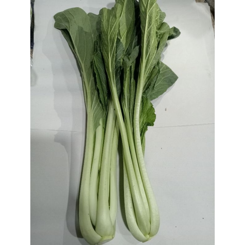 

Cesim/500g(pcs+Peking)