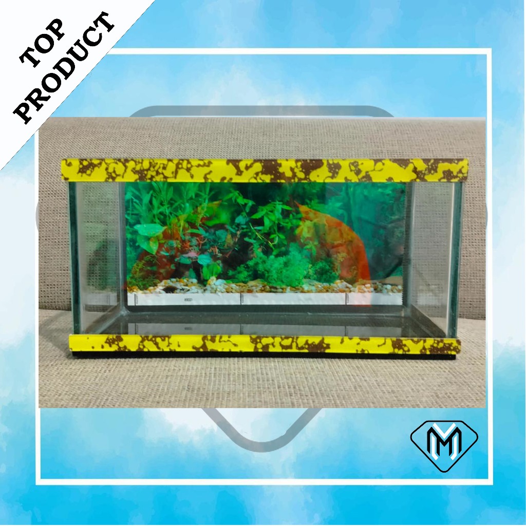 aquarium minimalis full set aquarium warna untuk ikan cana atau ikan cupang