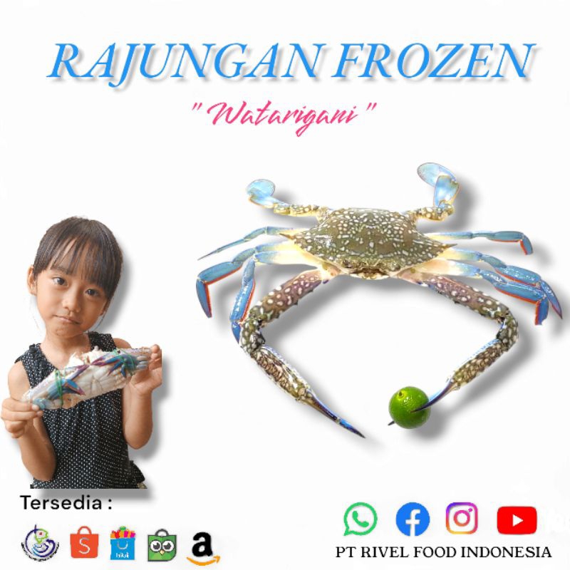 

Kepiting Rajungan Fresh Frozen 1kg