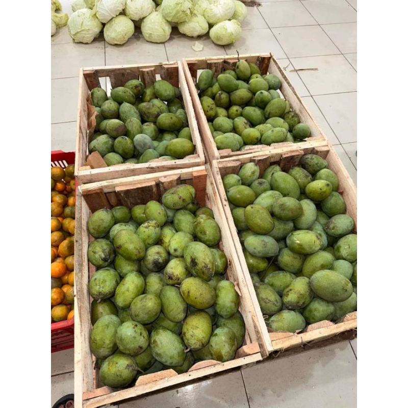 

mangga Manalagi Fress 1kg