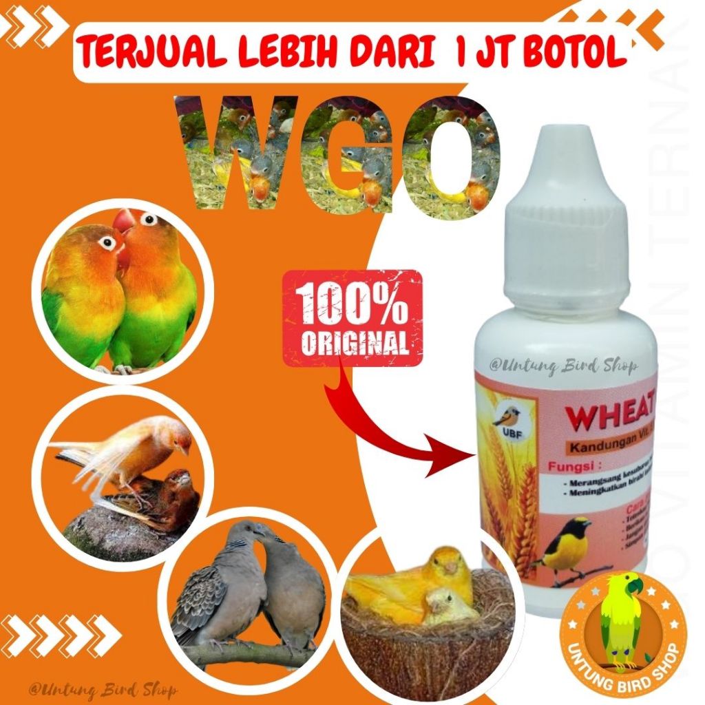 WGO ASLI Vitamin Ternak Kenari Vitamin Breeding Kenari Vitamin Kenari Cepat Birahi Cepat Bertelur