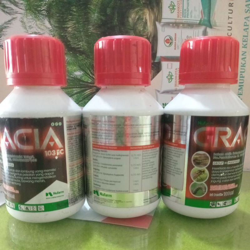 GRACIA 103 EC original