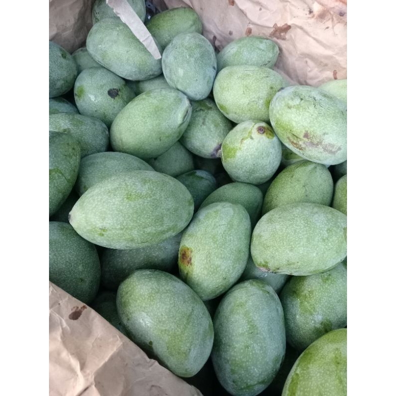 

mangga manalagi berat 1kg