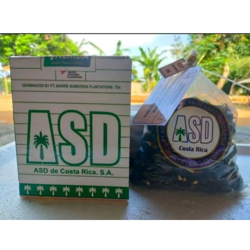Benih Sawit Unggul ASD COSTARIKA THEMBA