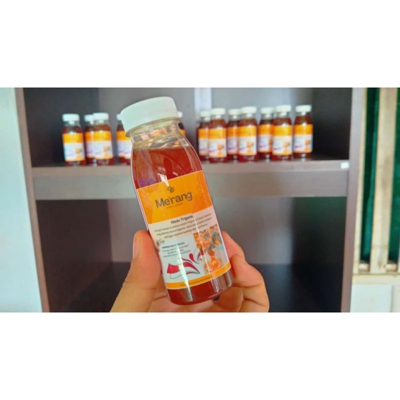 

madu trigona
