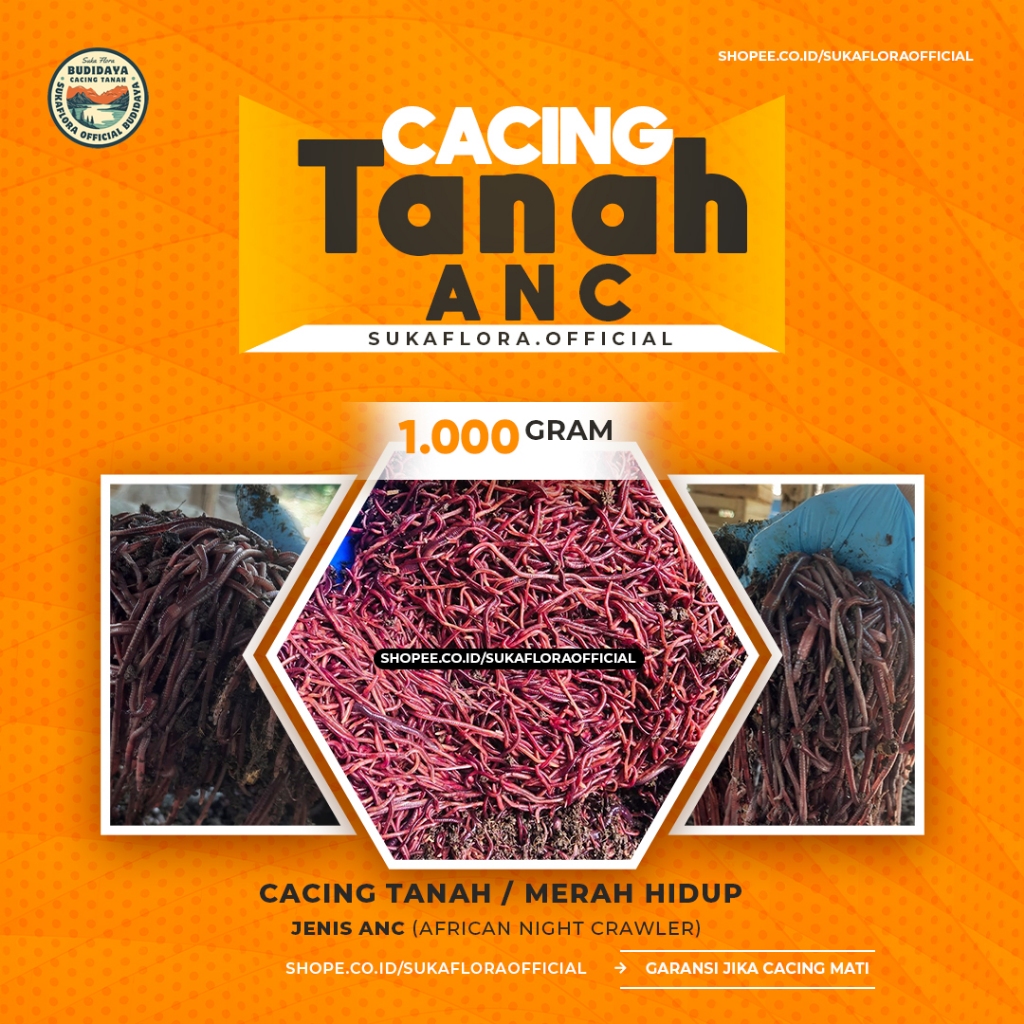 Cacing Anc Merah Tanah  1kg 1000gram Pakan Umpan Pancing Burung Ikan Chana