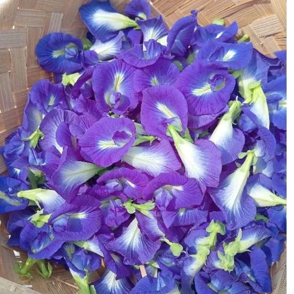 

eceran teh bunga Telang kering per gram