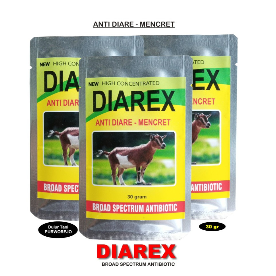 DIAREX KAMBING OBAT MENCRET DIARE KAMBING ANTIBIOTIK - TAMASINDO