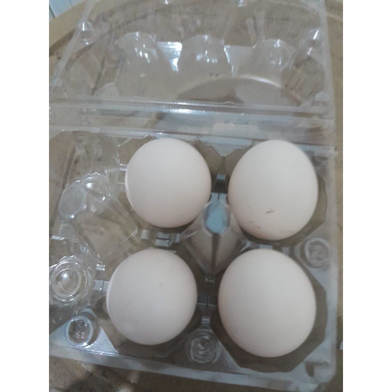 

telur ayam kampung