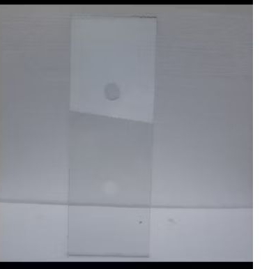 Tutup Kaca Aquarium Lembaran 100x18cm