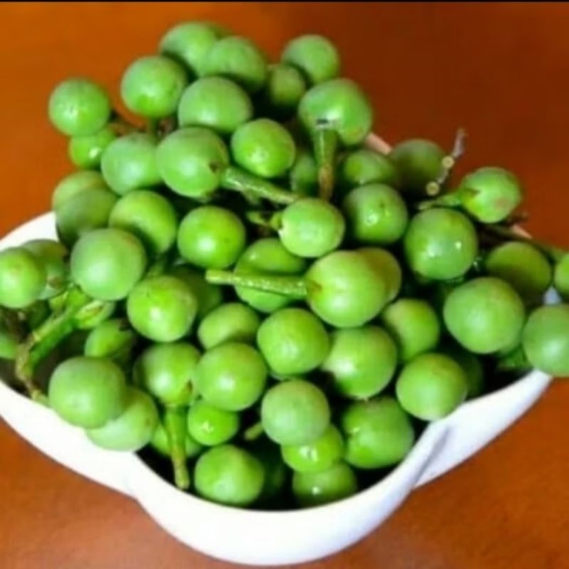 

buah cepokak atau takokak 500gram segar langsung petik