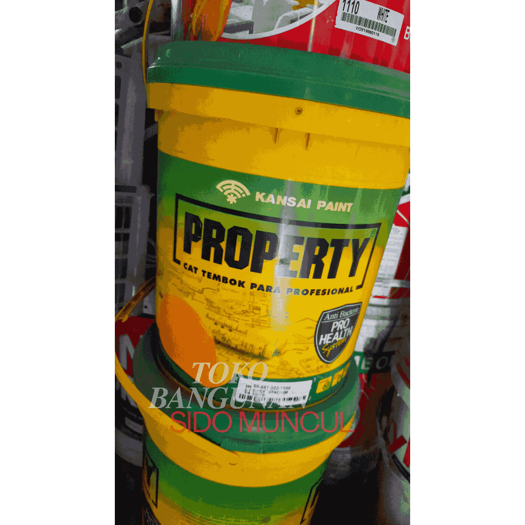 Property cat tembok interior 25kg Khusus instan
