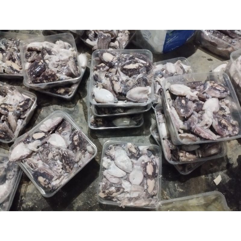 BEKUTAK/SOTONG/ BLEKUTAK 1kg