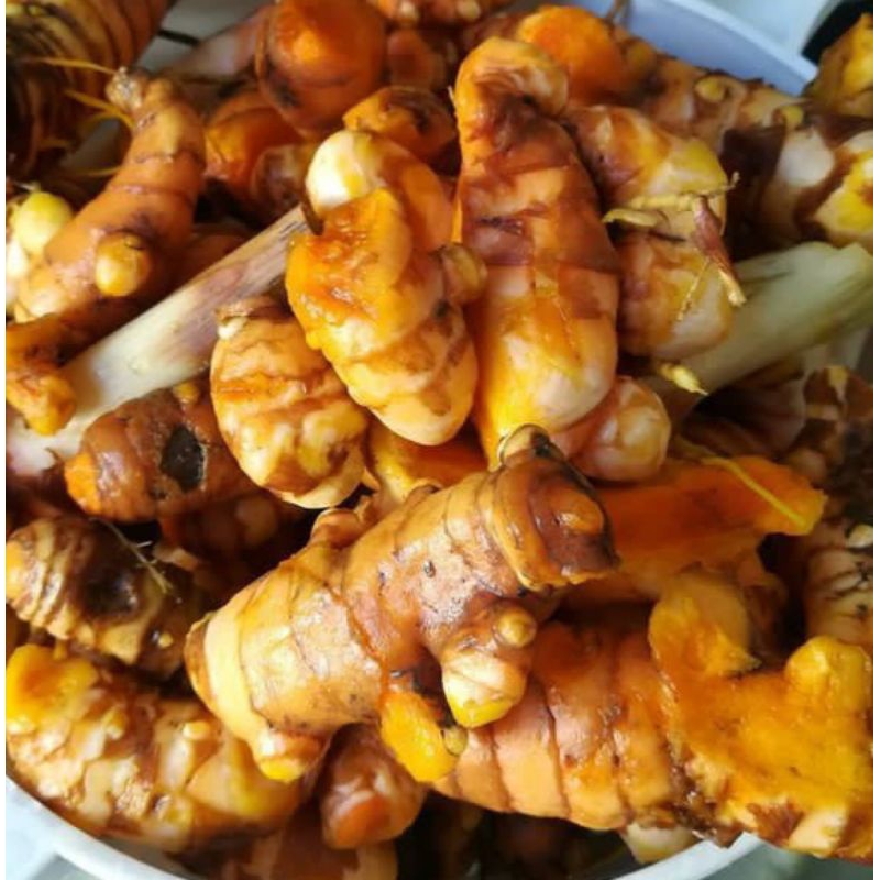 Kunyit/Kunir/ Segar Besar 1 Kilo Bumbu Dapur Alami Herbal Bumbu Masakan Jamu