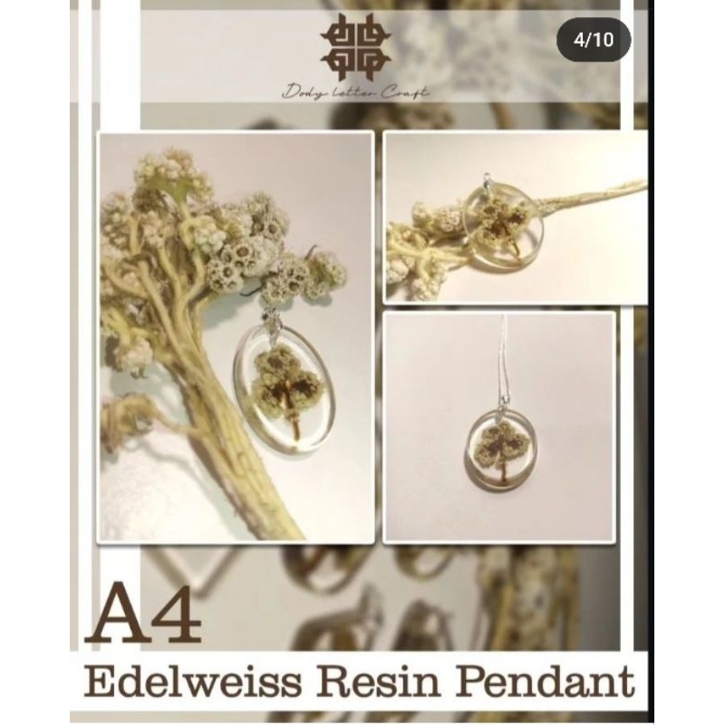 edelweiss pendant resin A4.