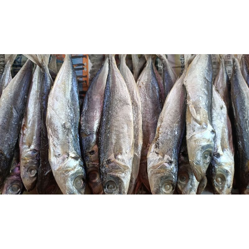 

Ikan Asin Layang Asin 100gram-500gram