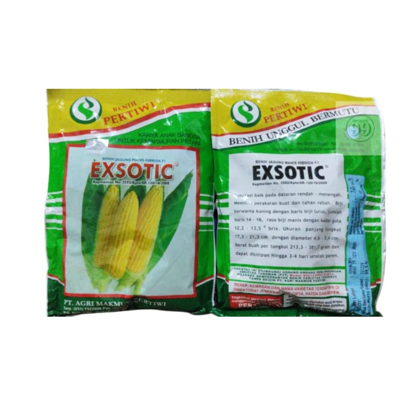 Benih Jagung Manis Pertiwi Eksotik Pertiwi 1750 Biji Jagung Manis Eksotik
