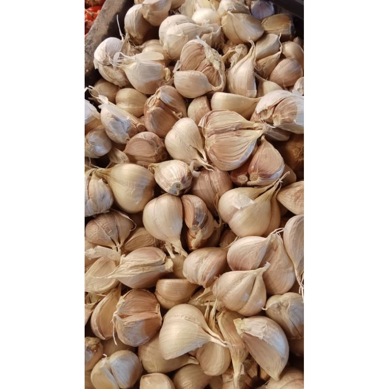 

bawang putih kating 500grm