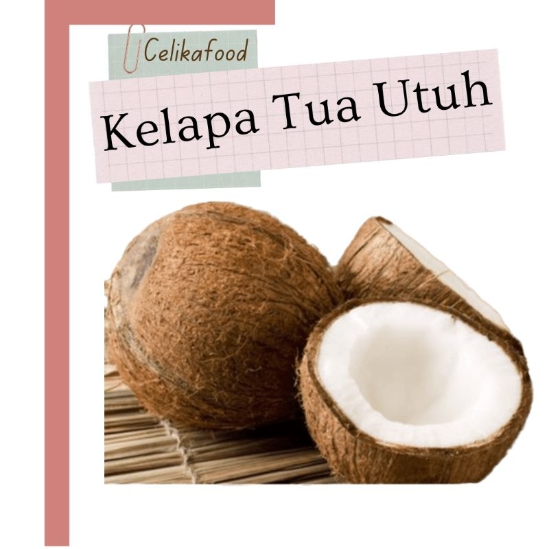 

Kelapa Utuh Tua Batok 1 Bulat Coconut Buah Santan