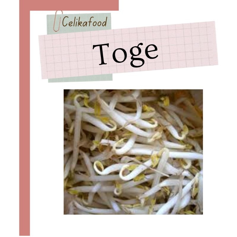 

Toge 250 gr Tauge Kecambah Sayuran Pasar Fresh