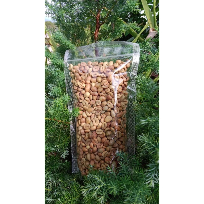 

GreenBean/kopiRobusta100%asli/bijipilihan/murah/petikankebunsendiri