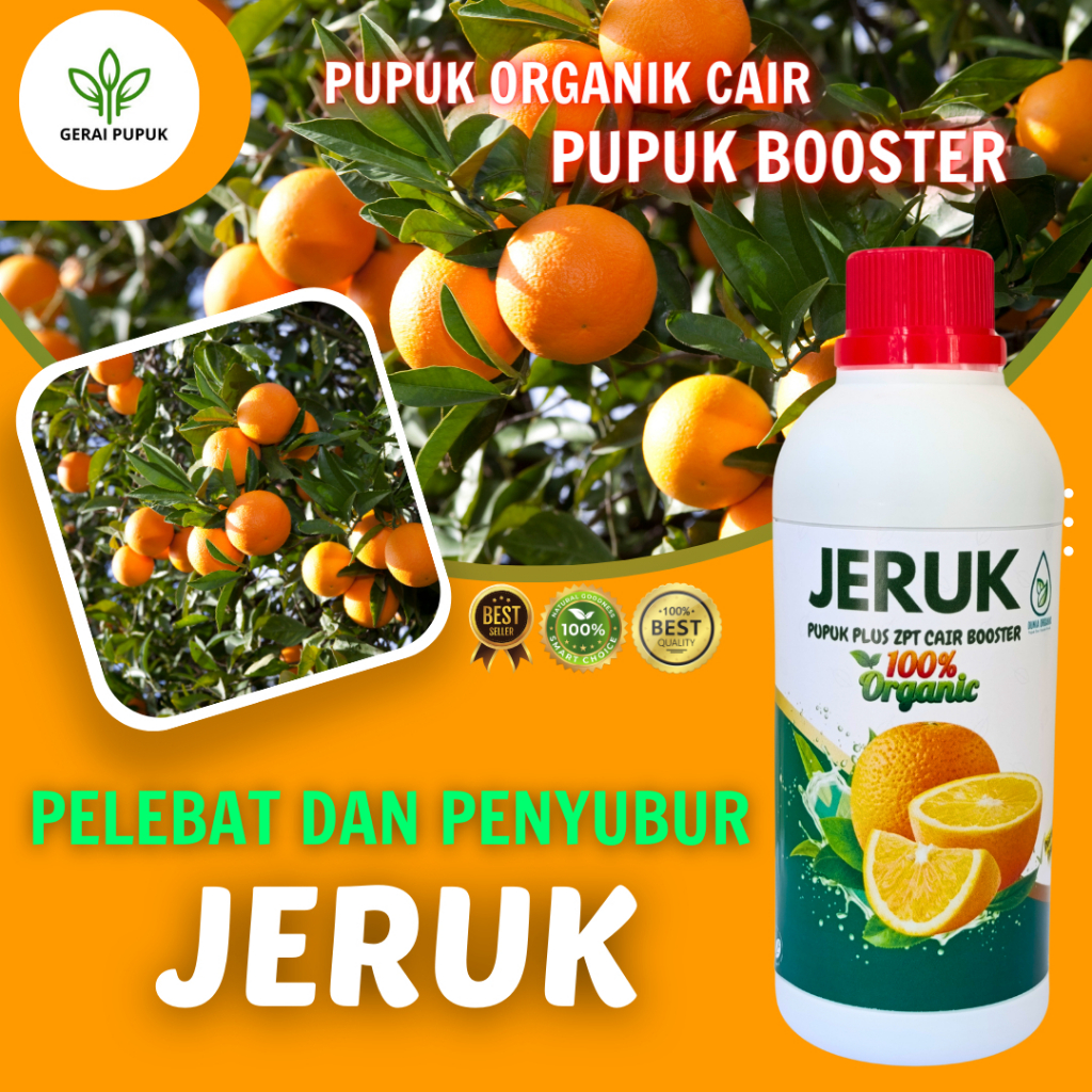 Pupuk Buah Jeruk santang madu cepat berbuah | Pupuk Organik cair buah dan sayuran untuk buah jeruk