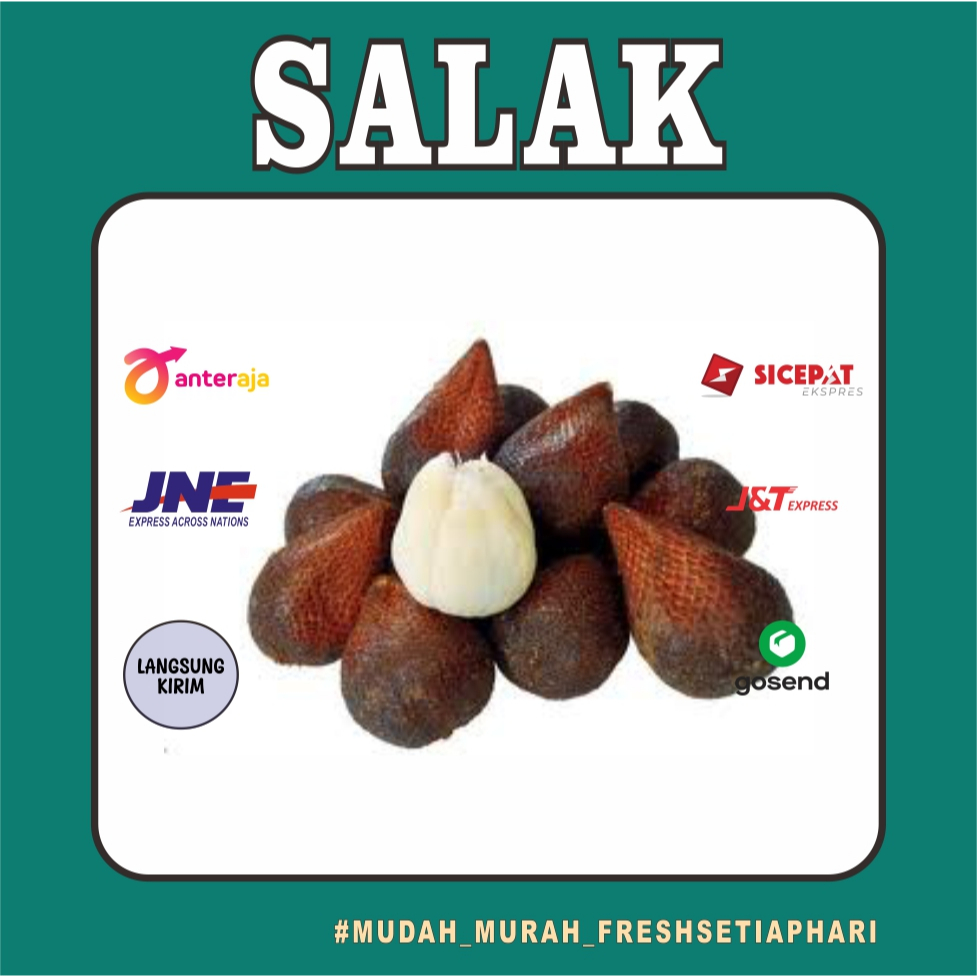 

PROMO SALAK PONDOH FRESH MURAH BANDUNG 1KG