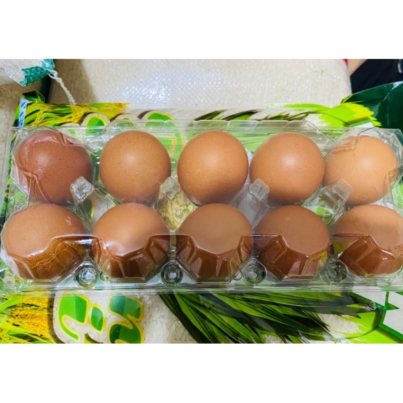 

TELUR LOKAL AYAM NEGRI 10 BUTIR FRES MURAH INSTAN