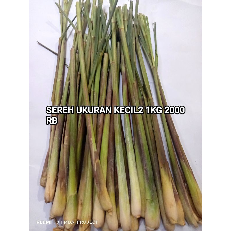 

sereh murah segar ukuran kecil 1kg