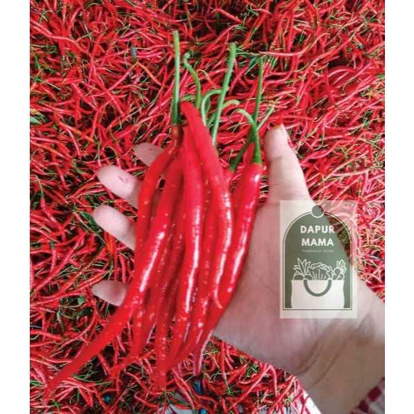

Cabe / Cabai Merah Keriting 500 gr Fresh/Segar