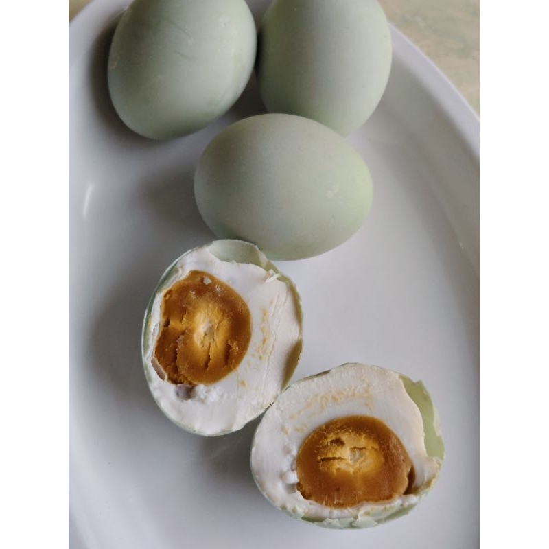 

TELUR ASIN BEBEK HAS BRAGANG KLAMPIS
